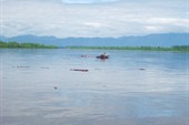 В большую воду